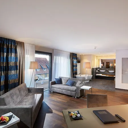 Schloss Reinach Hotel 4*