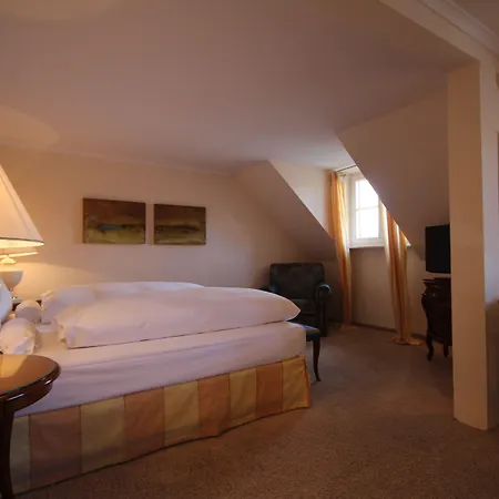 Schloss Reinach Hotel 4*