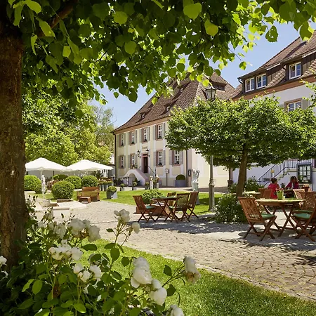 Schloss Reinach