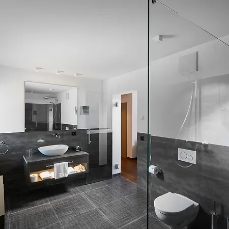 Schloss Reinach Hotel 4*