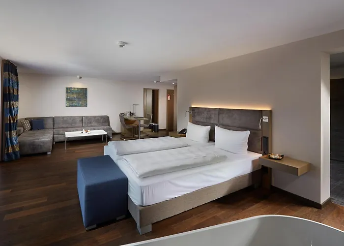 Отель Schloss Reinach 4*