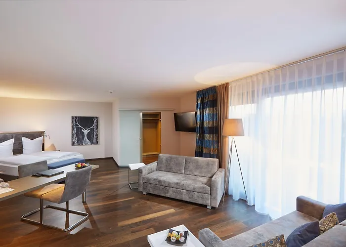 Отель Schloss Reinach