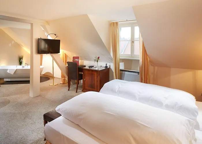 Отель Schloss Reinach 4*