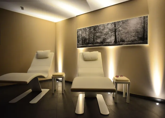 Отель Schloss Reinach Фрайбург