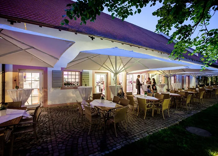 Schloss Reinach Отель