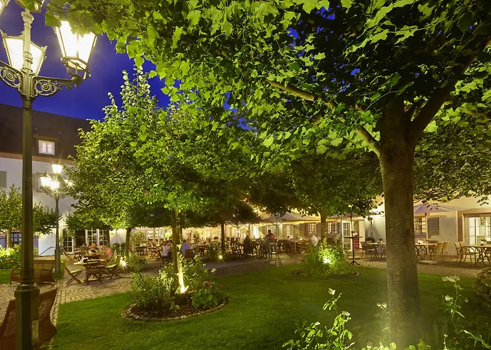 Schloss Reinach Отель