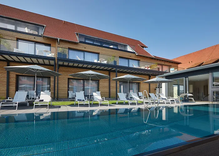 Schloss Reinach 4* Фрайбург